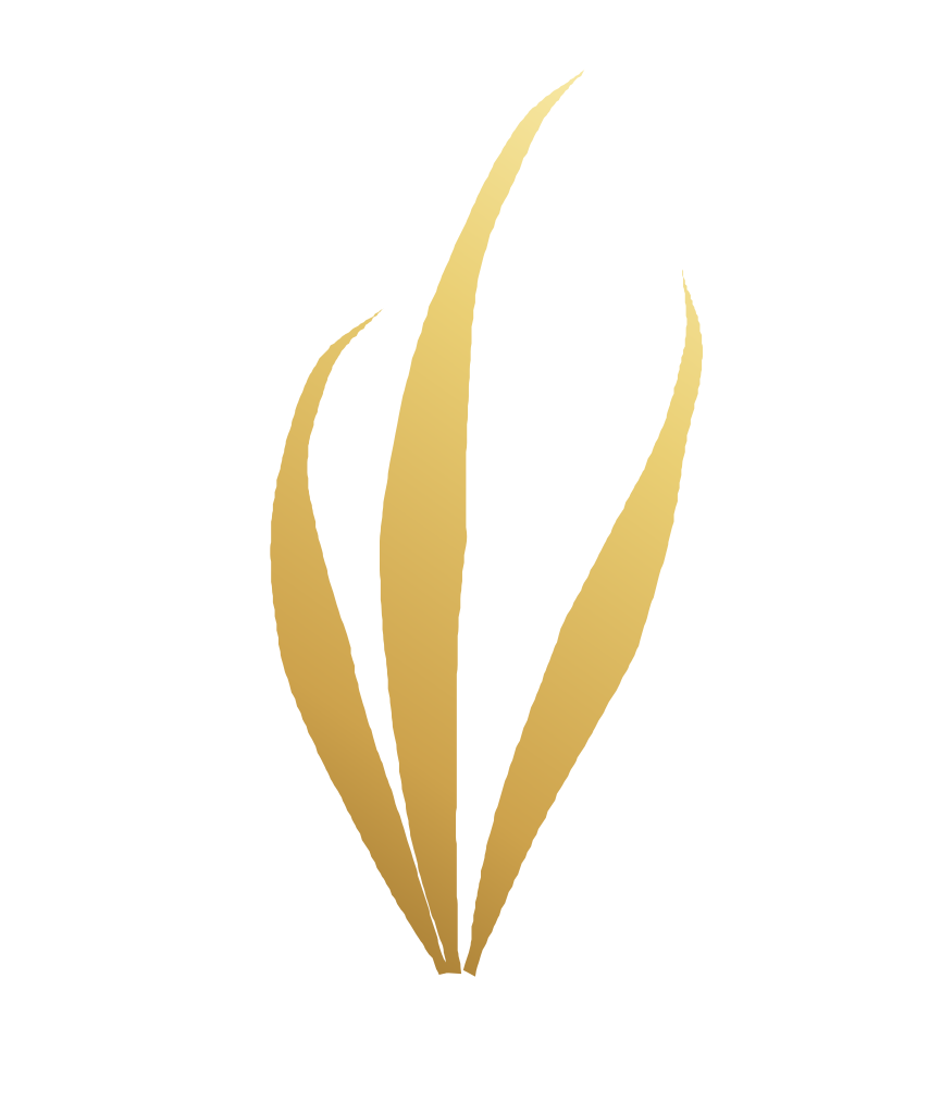 The Saffron mark as a transparent PNG, gold on no background.