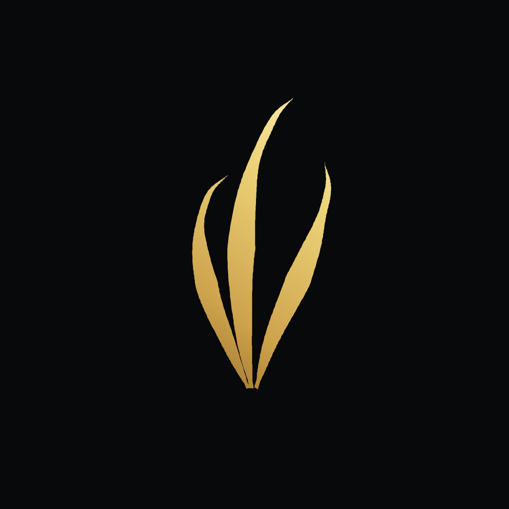 The Saffron mark in gold, centred on a square near-black obsidian background.